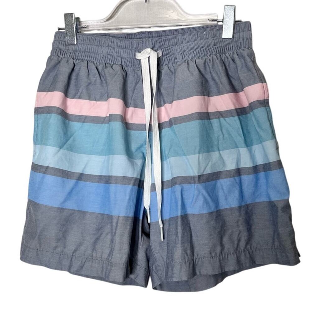 Chubbies Men's XS Swim Trunks 5.5" Inseam Striped Blue Pink Grey Mesh Liner